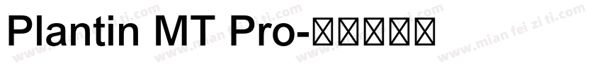 Plantin MT Pro字体转换